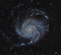 M101_250217PI02jb_26x300_1600_-25
